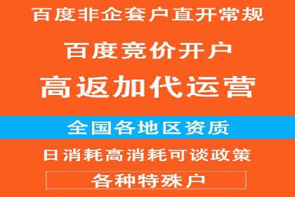某电商平台sem竞价运营的突破与挑战